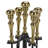 Sophia Fire Tool Set