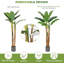 60cm Plant