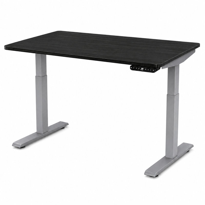 Bureau debout électrique à double moteur 48 po x 30 po Uncage, H 46,7 po x l 48 po x P 30 po, Bambou noir / gris