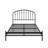 Marianna Metal Platform Bed-2089603323
