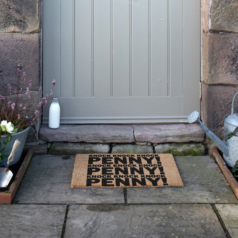 Pagel Knock Penny 40 x 60cm Non-Slip Indoor Outdoor Door Mat
