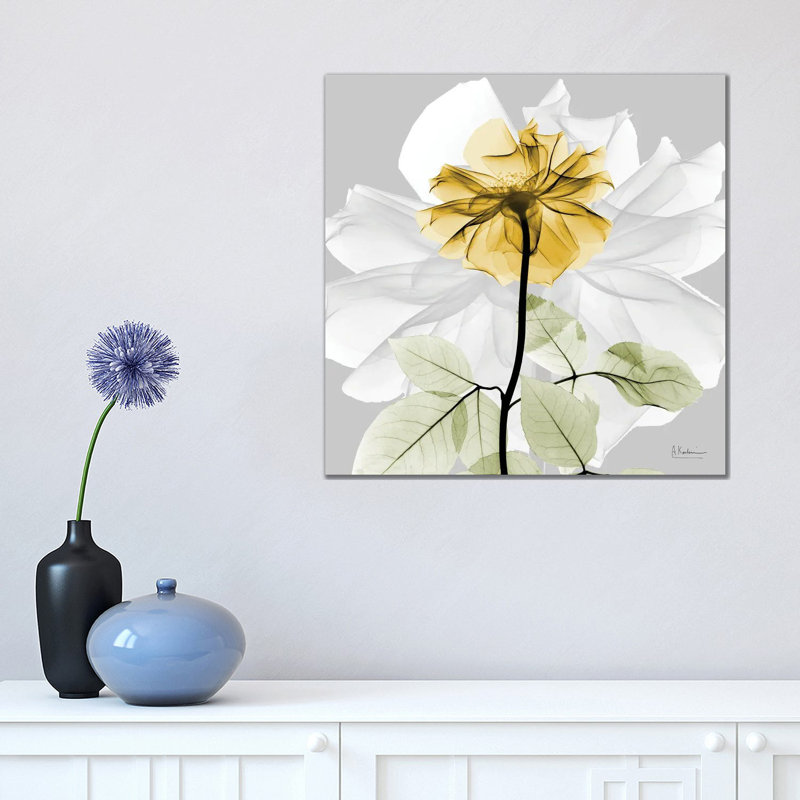 Rose In Gold II by Albert Koetsier - Wrapped Canvas Print, 45.72 cm H x 45.72 cm W x 3.175 cm D