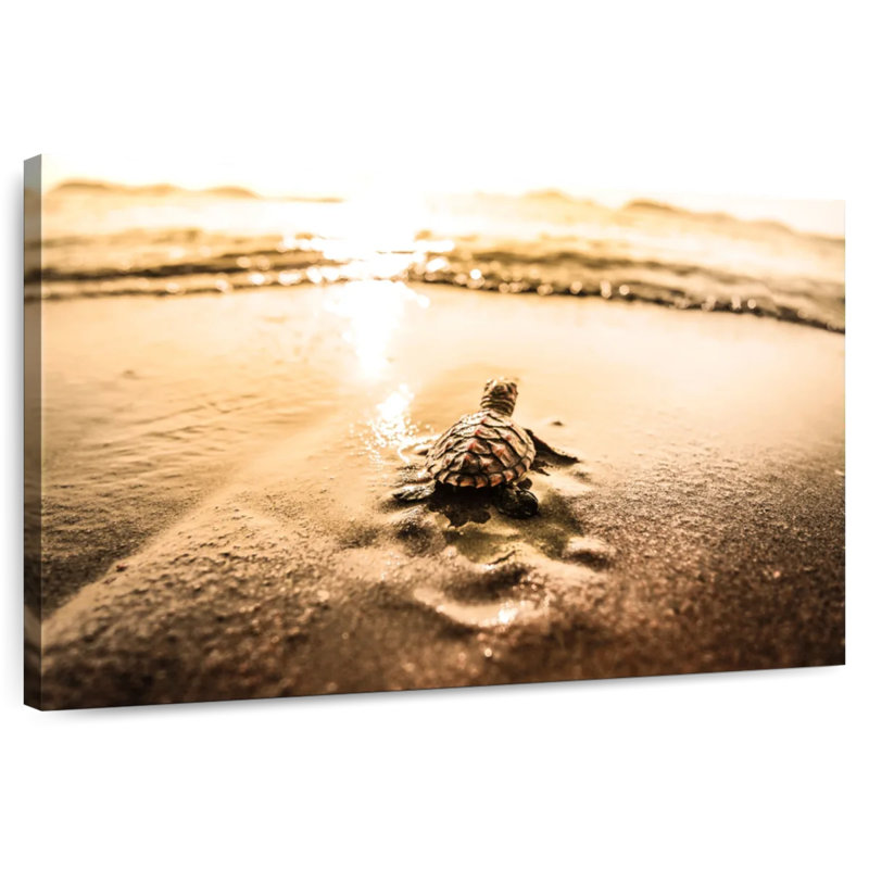 Brampt Little Sea Turtle Adventure, 30" H x 45" W