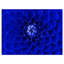 Photographie « abstract blue floral design »-34993003-34992993