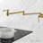 Plaisir Retractable Wall Mount Pot Filler Faucet-109110370