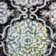 Brees Damask Indoor Rug
