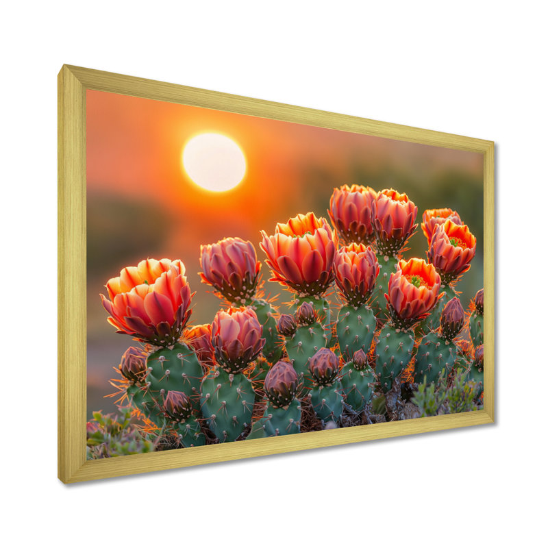 Kirsteni Blooming Cacti At Sunset I - cactus, art mural, H 12 po x l 20 po, Picture Framed, Doré