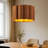 18" W 2-Light Dimmable Petal Drum Chandelier-750982474