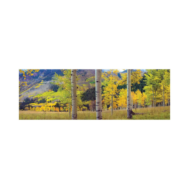 Quaking Aspen Grove In Autumn, Colorado by Tim Fitzharris - Wrapped Canvas Panoramic Print