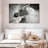 Brampt Dusty Zebra-108168426