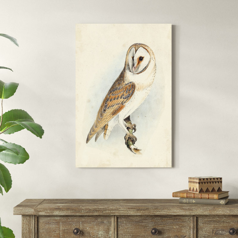 Meyer Barn Owl, H 36 po x l 24 po x P 1,25 po