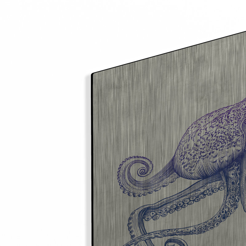 Breakwater Bay 'Octo-Flow' by Luxe Portfolio, Metal Wall Art, 16"x12", 12" H x 16" W