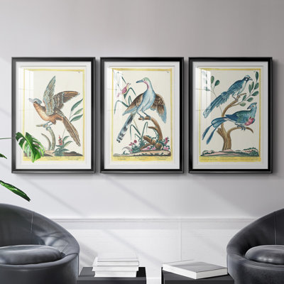 «Pastel Birds IV», reproduction encadrée de qualité supérieure - prête à être accrochée