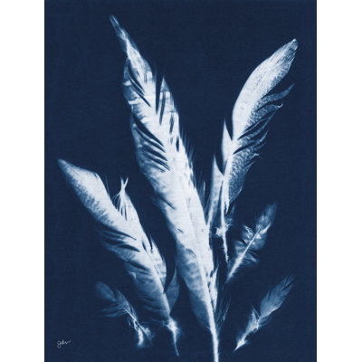 Indigo Feathers II by Julie Norkus
