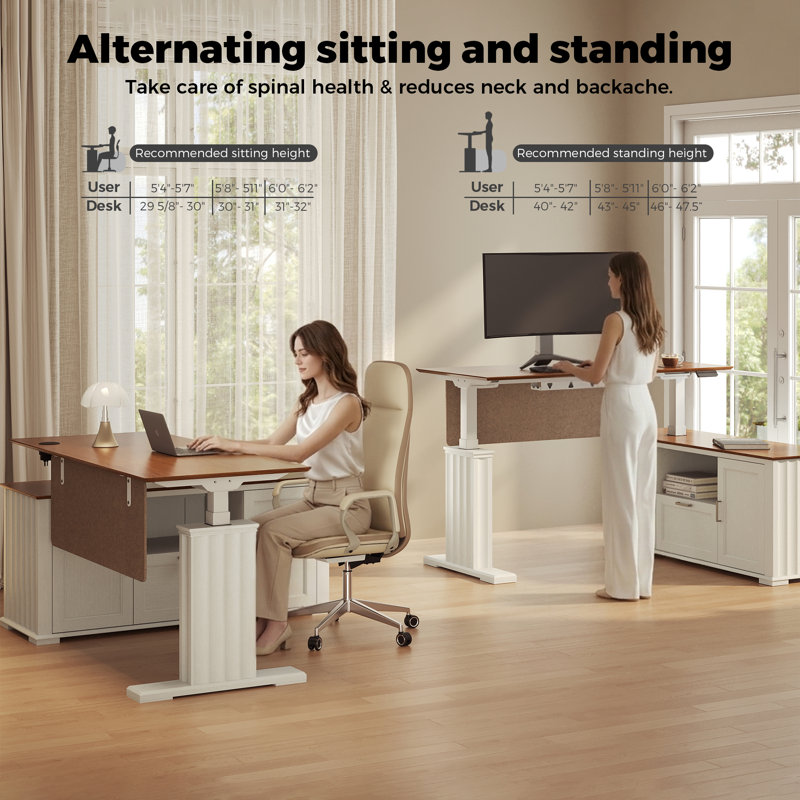 Ashantey 60" L-Shaped Executive Electric Standing Desk with Fluted Roman Legs, Privacy Modesty Panel and Wire, Walnut