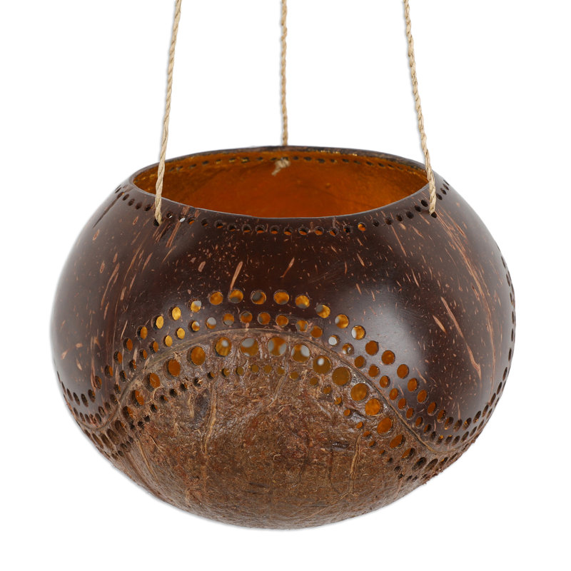 Novica Handmade Riverside Coconut Shell Hanging Planter