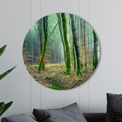 Art mural vert en verre trempé avec des images de forêt et d'arbres pour la décoration intérieure