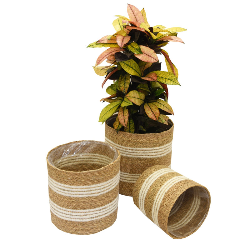 Nara Pot Planter