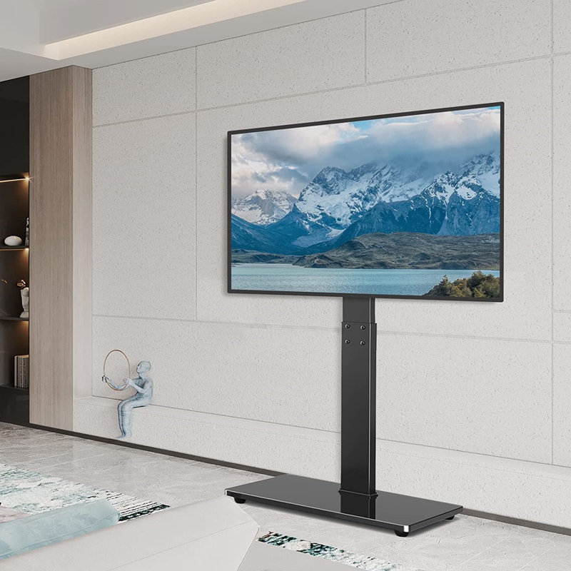 Passetas Single Screen Floor Stand Mount