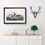 Crested Grebe by John James Audubon - Picture Frame Painting Print-55490525-55490521