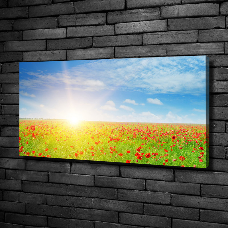Field Of Poppies - Wrapped Canvas Print