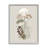 Soft Mushrooms on Gray Floater Frame Print on Canvas-97262532-97262531