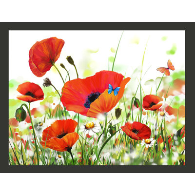Country Poppies 2.7m x 350cm Wallpaper