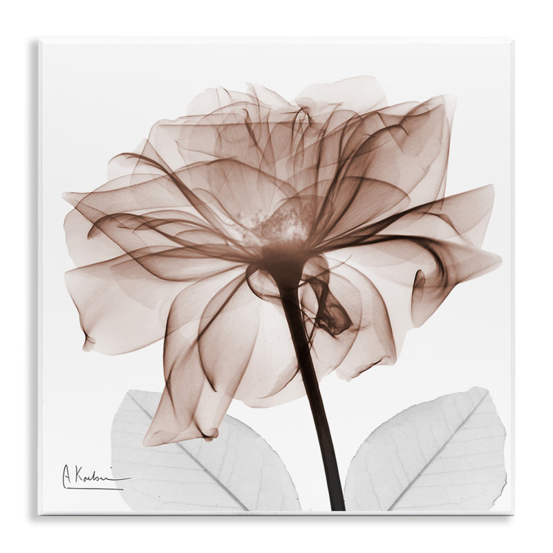 Art mural opaque «Rose Blossom», conception par Albert Koetsier