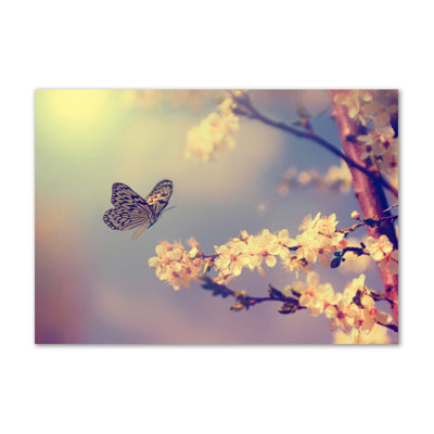 Cherry Blossom And Butterfly - No Frame Print on Canvas