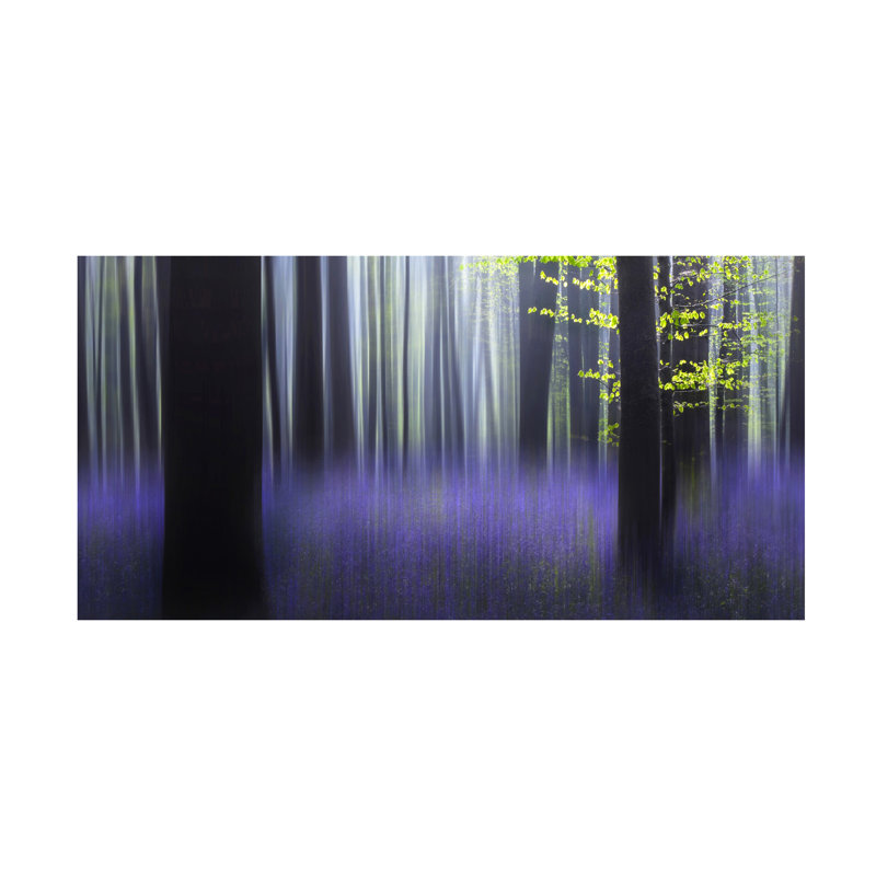 Wil Mijer Q Haller Fantasy Q Canvas Art, 24" H x 47" W