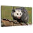 Brampt Angry Opossum-108138952