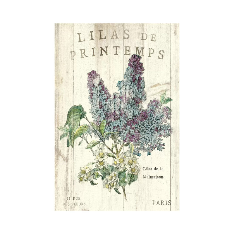 Lilas De Printemps - Print on Canvas, Wrapped Canvas, 20.32 cm H x 30.48 cm W