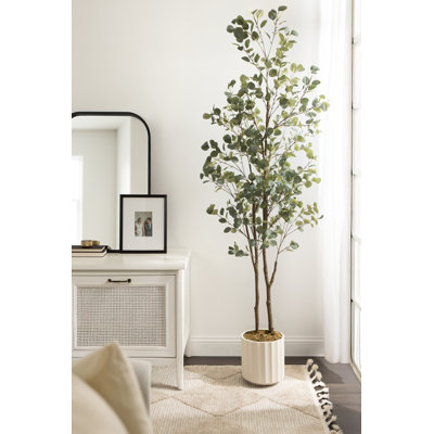 Jibbs Scalloped Round Indoor Planter Pot