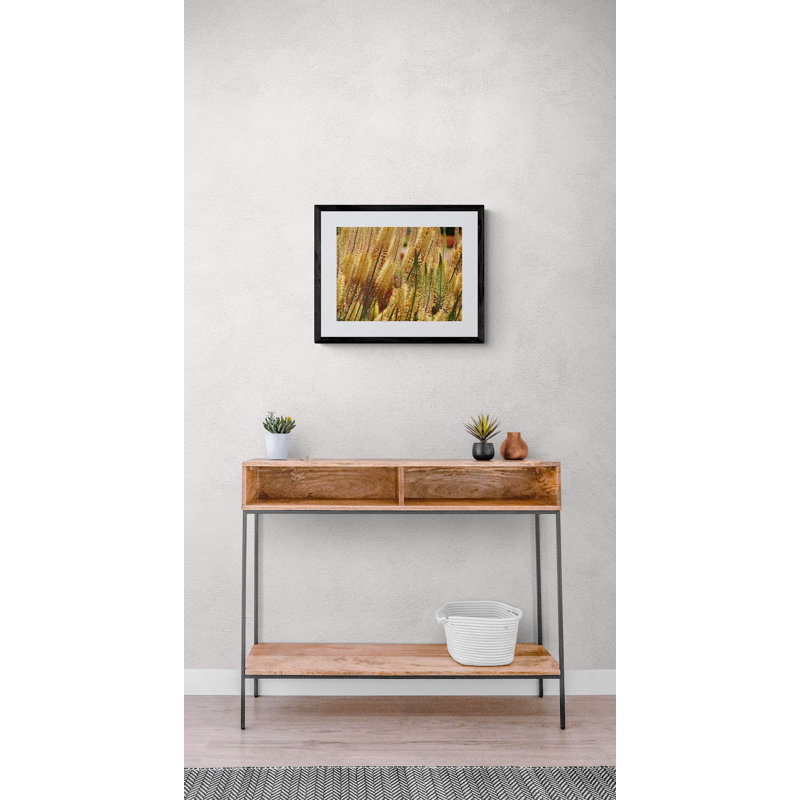 Pennsylvania Flowers Print by Drew Gaffney, 25.25" H x 31.25" W x 0.875" D