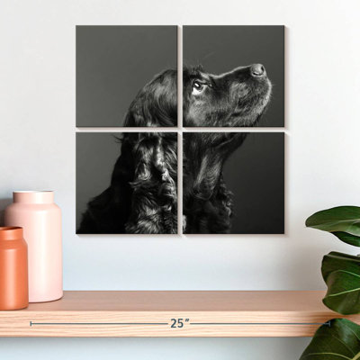 Brampt Shiny Black Dog