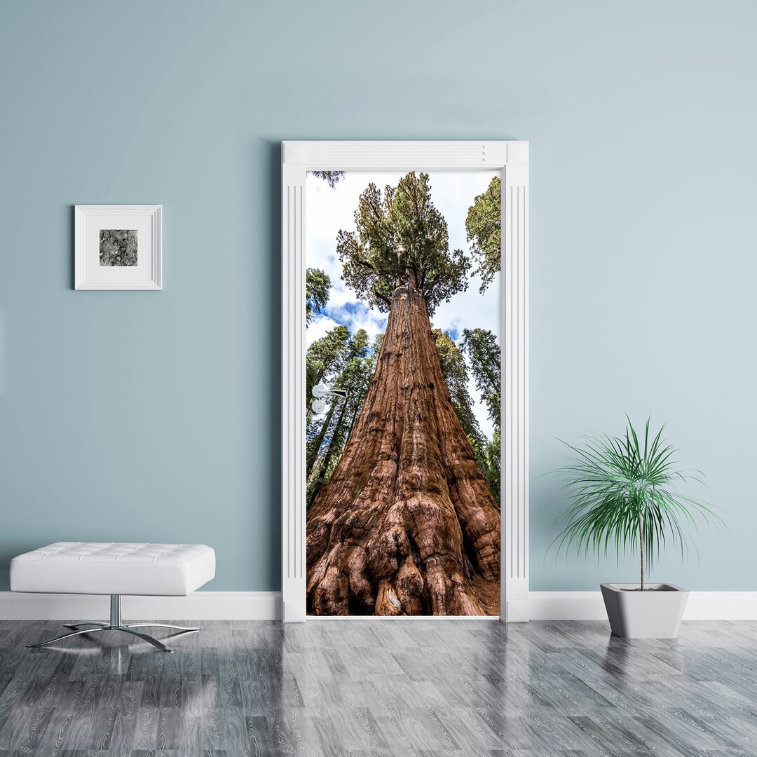 Türaufkleber Wald Riesenbaum Regenwald Nebel