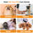 Portable Height Adjustable Pet Grooming Station With Foldable Arm