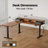 75" L Shaped Electric Standing Desk With 2 Drawers,Ergonomic Corner Height Adjustable Desk, Sit-Stand Computer Table with Storage for Home & Office-119335846-117523055