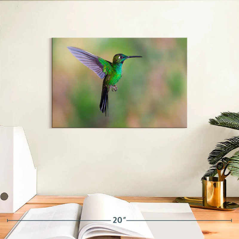 Green Fronted Hummingbird, 8" H x 12" W