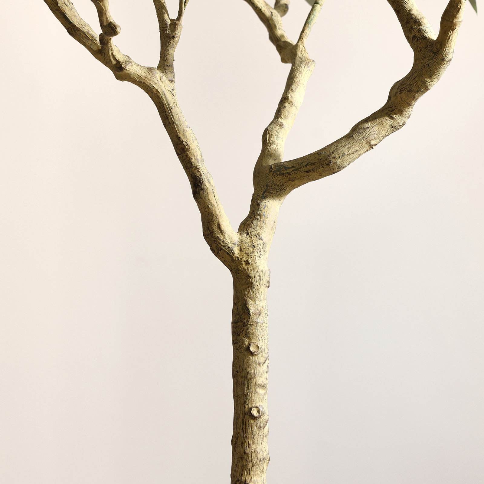 Ashwell Olive Plant in Pot, 98" H x 53" W x 53" D