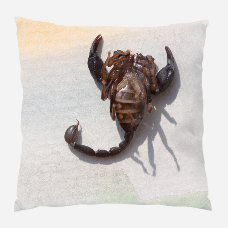 Coussin constellations, Microsuède, Intérieur