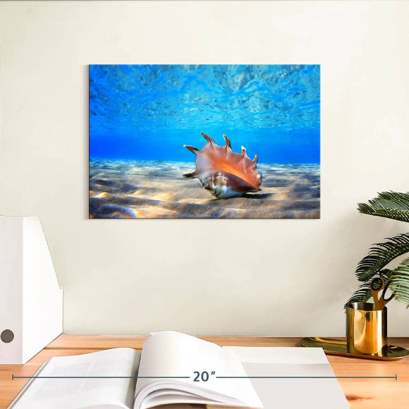 Aletra Seashell Treasure, 8" H x 12" W