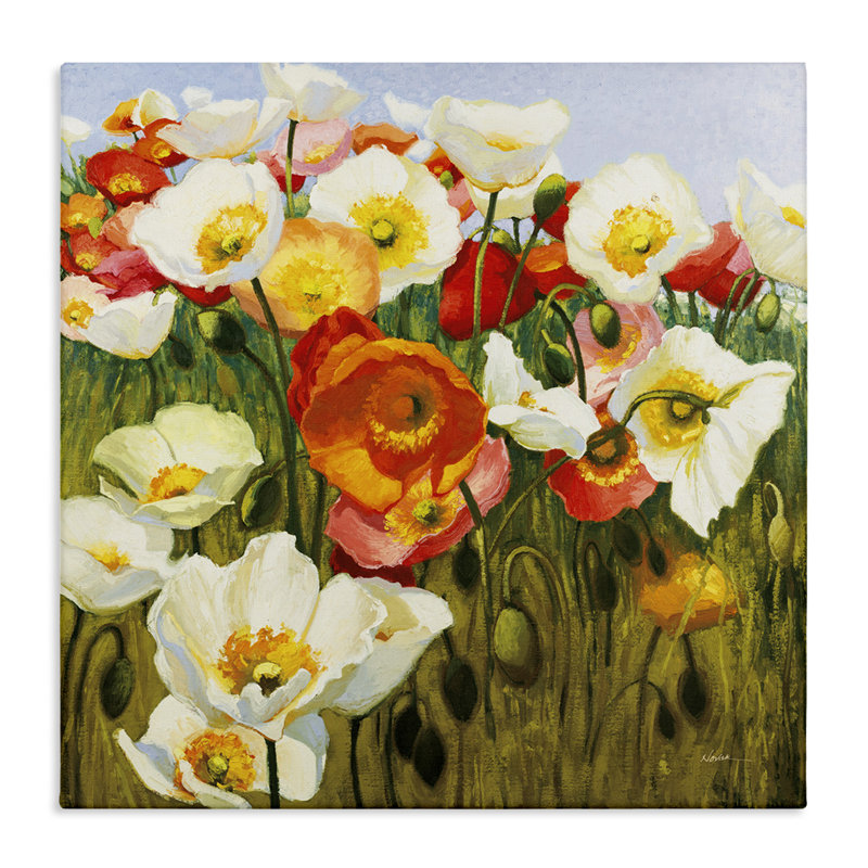 «Lush Poppy Meadow», art mural sur toile par Shirley Novak, H 36 po x l 36 po