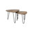 Novalee 2 Piece Side Table Set