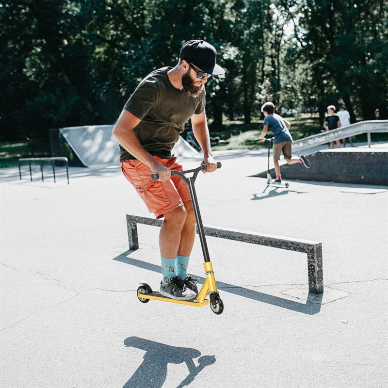 EvoNet Scooter