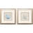 Coral Reef Shells Framed Art