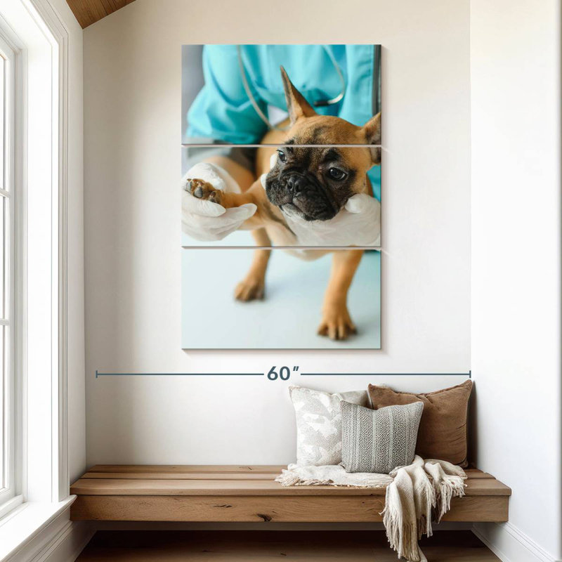 Brampt Pet Care, 50" H x 32" W