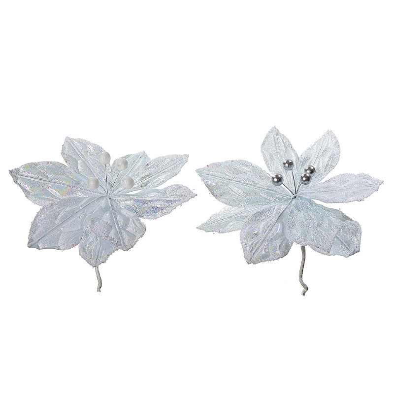 Poinsettia blanc - ensemble de 12