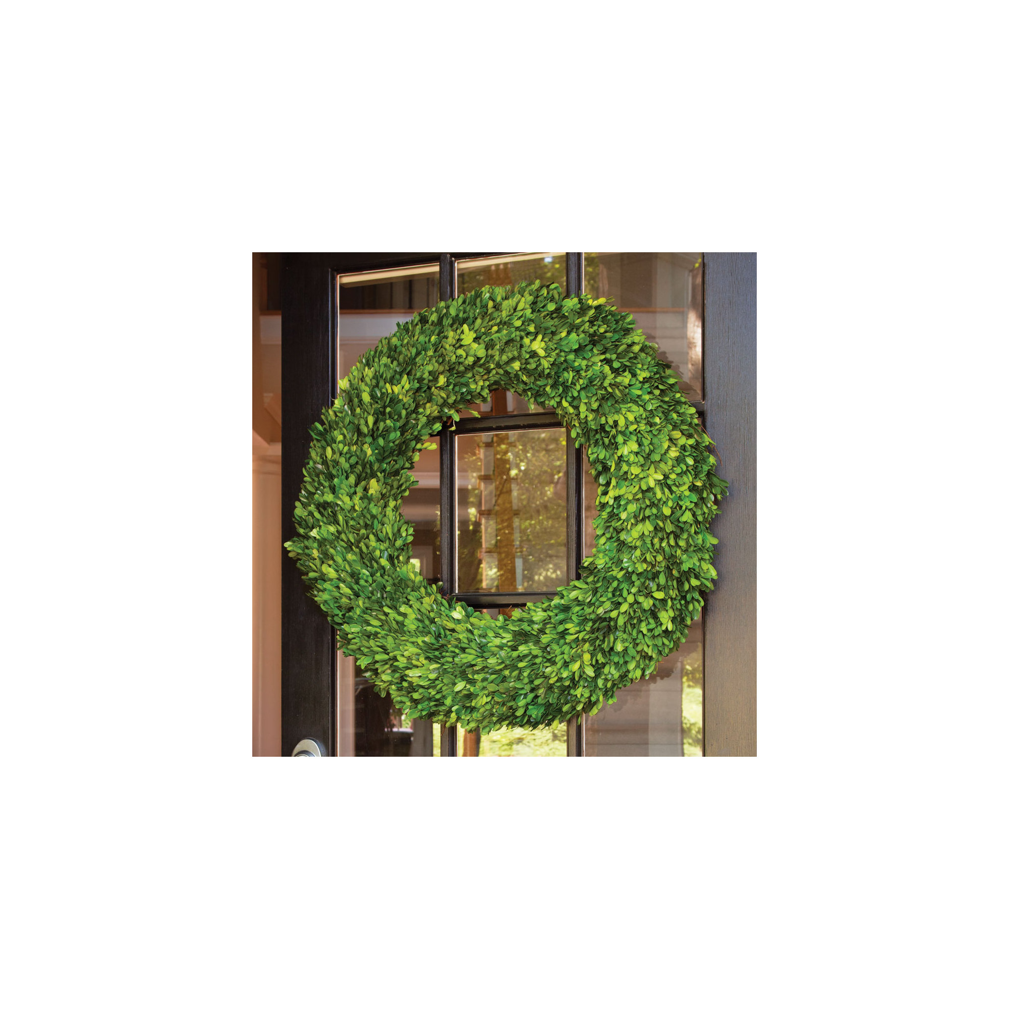 Alby Preserved Boxwood Wreath, 30" H x 31" W x 7" D