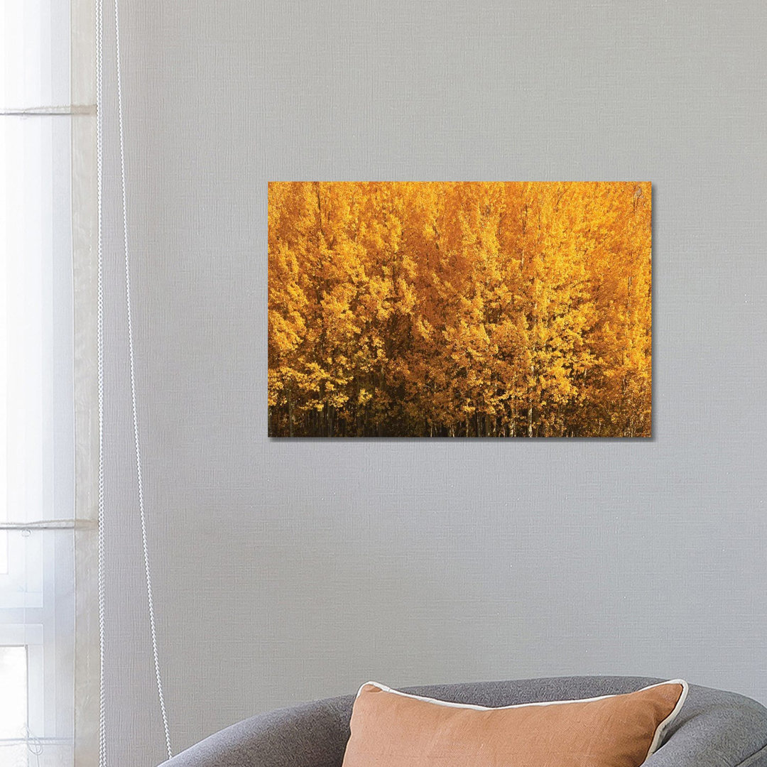 Aspen Gold von Brian Wolf - Galerieverpackte Leinwand Giclée auf Leinwand ohne Rahmen